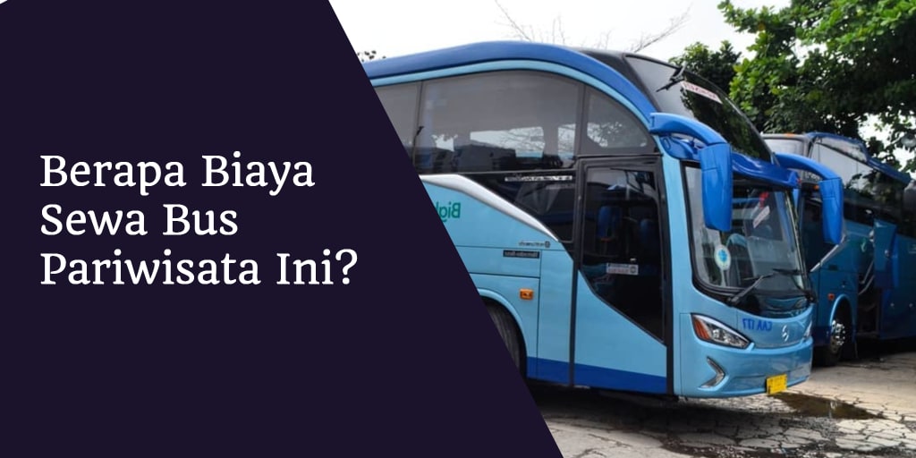 Berapa Biaya Sewa Bus Pariwisata Ini?